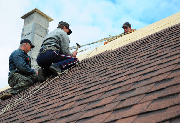 Best Roof Replacement Cost  in Edburgh, IN